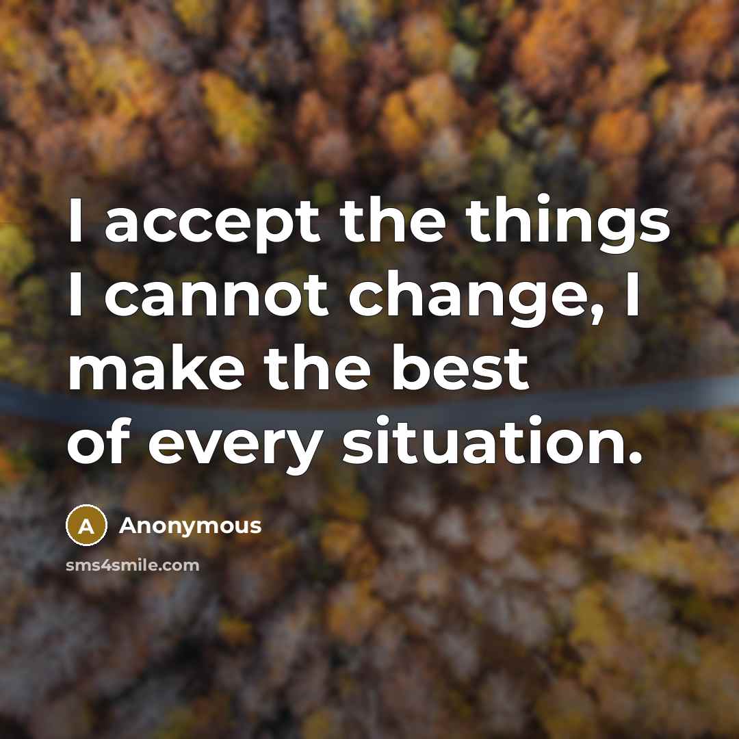 “I accept the things I cannot change, I make the best of every situation.” quote by Anonymous