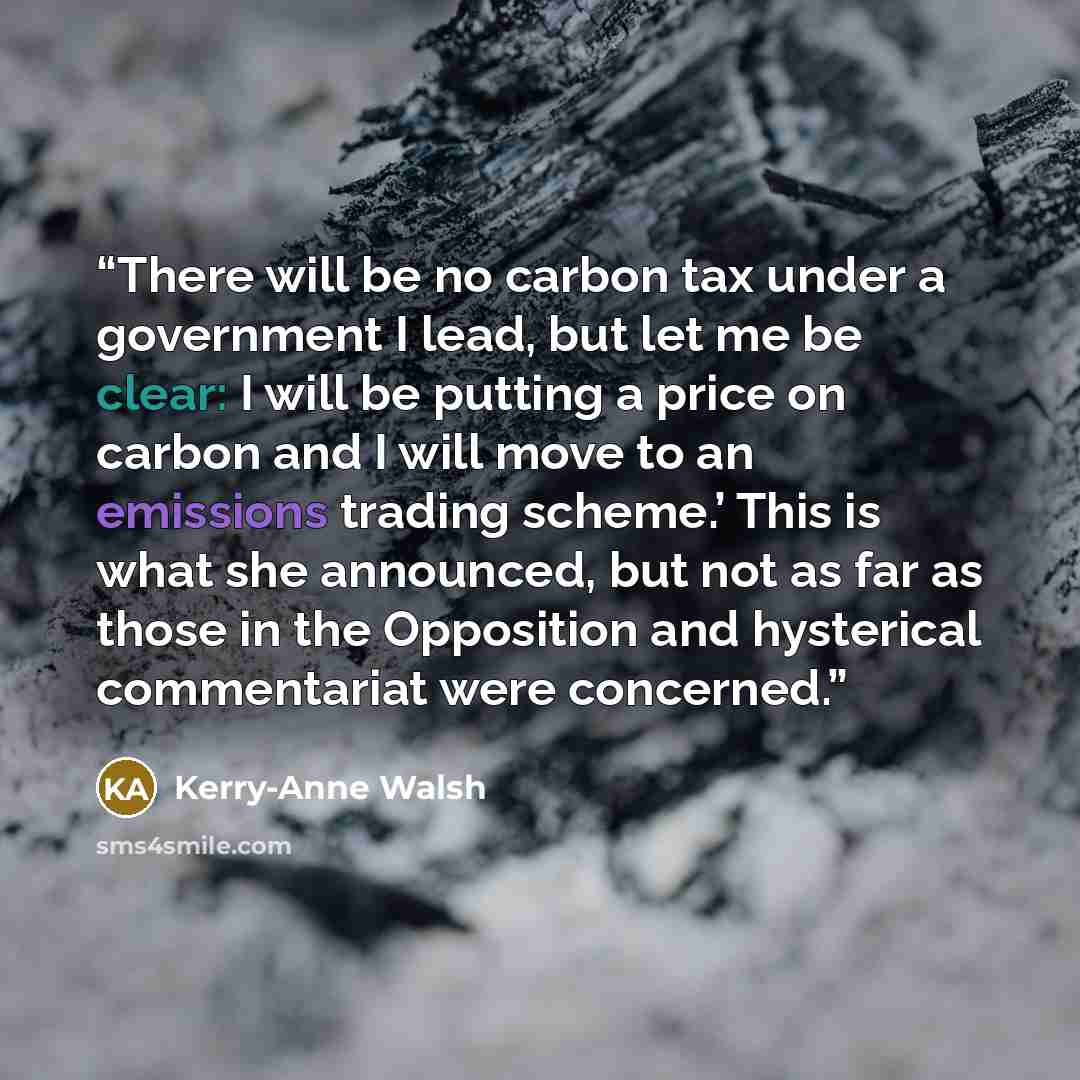 “There will be no carbon tax under a government I lead, but let me be clear: I will be putting a price on carbon and I will move to an emissions trading scheme.’ This is what she announced, but not as far as those in the Opposition and hysterical commentariat were concerned.” quote by Kerry-Anne Walsh