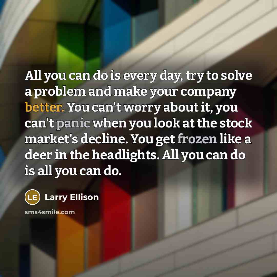 “All you can do is every day, try to solve a problem and make your company better. You can't worry about it, you can't panic when you look at the stock market's decline. You get frozen like a deer in the headlights. All you can do is all you can do.” quote by Larry Ellison