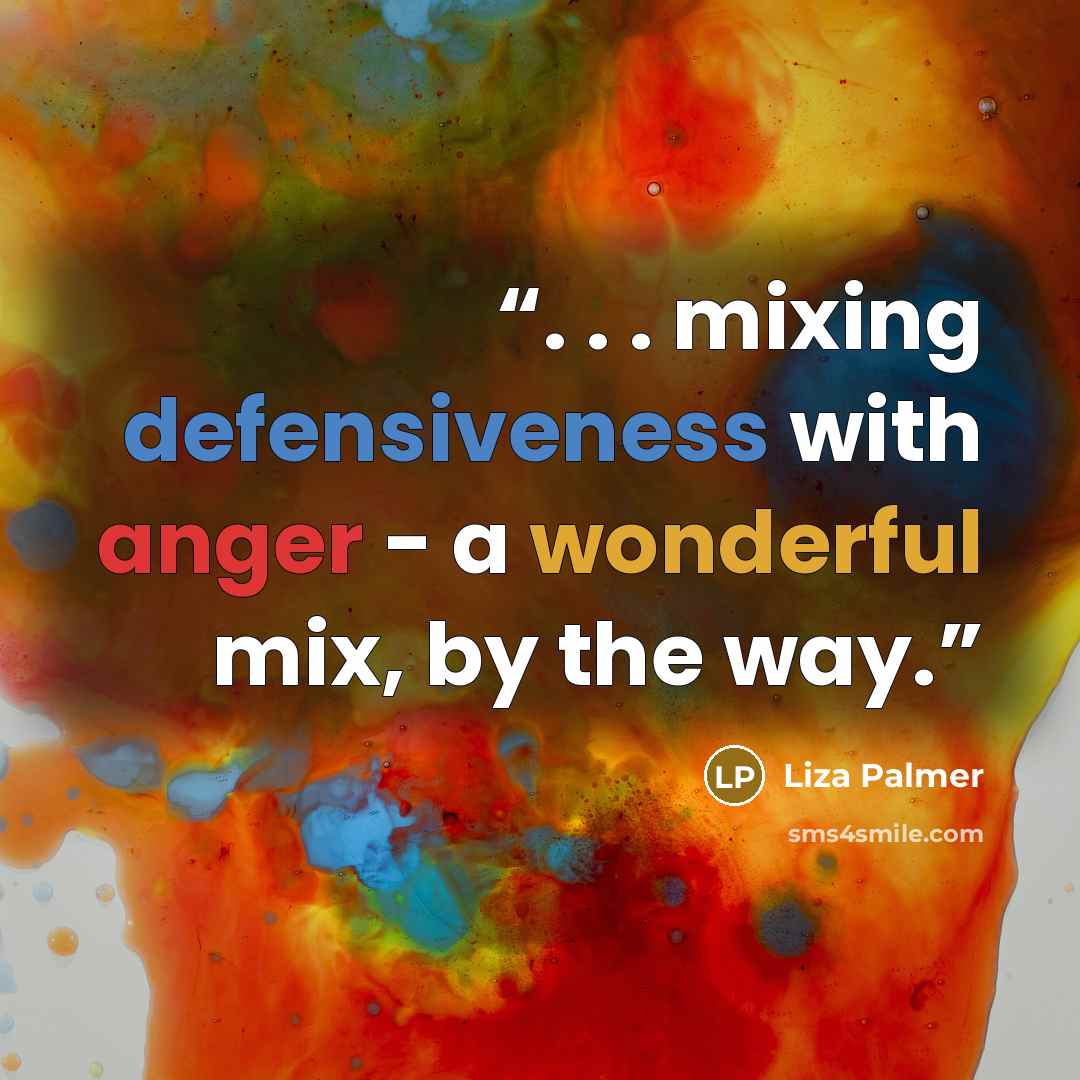 “. . . mixing defensiveness with anger - a wonderful mix, by the way.” quote by Liza Palmer