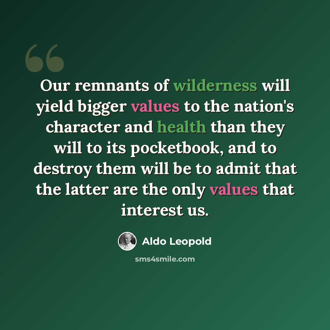 “Our remnants of wilderness will yield bigger values to the nation's character and health than they will to its pocketbook, and to destroy them will be to admit that the latter are the only values that interest us.” quote by Aldo Leopold