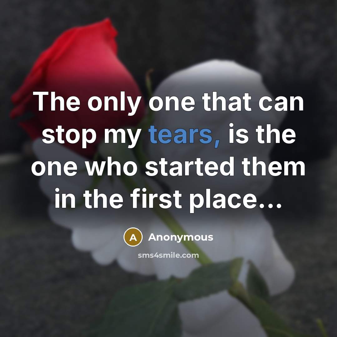 “The only one that can stop my tears, is the one who started them in the first place...” quote by Anonymous