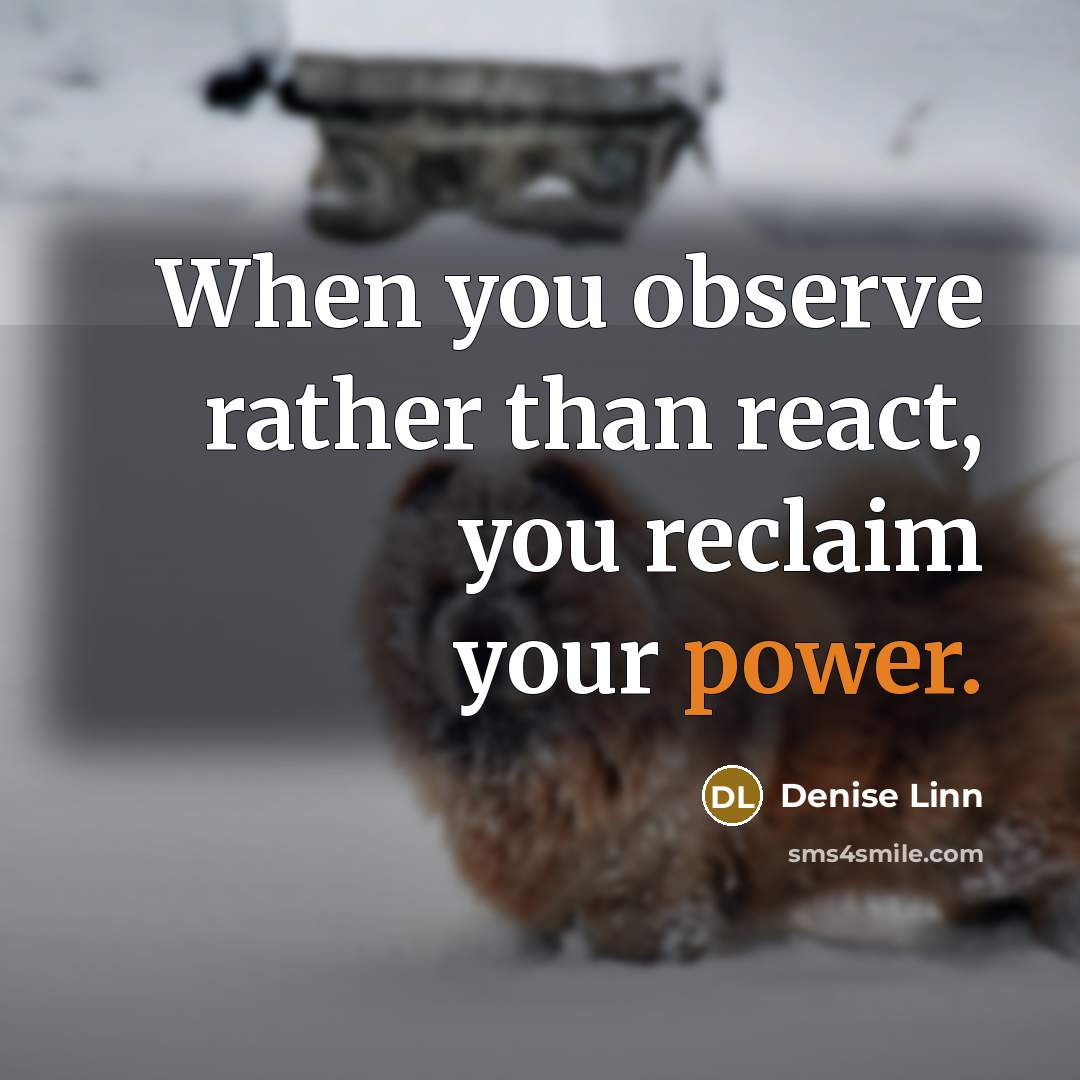 “When you observe rather than react, you reclaim your power.” quote by Denise Linn