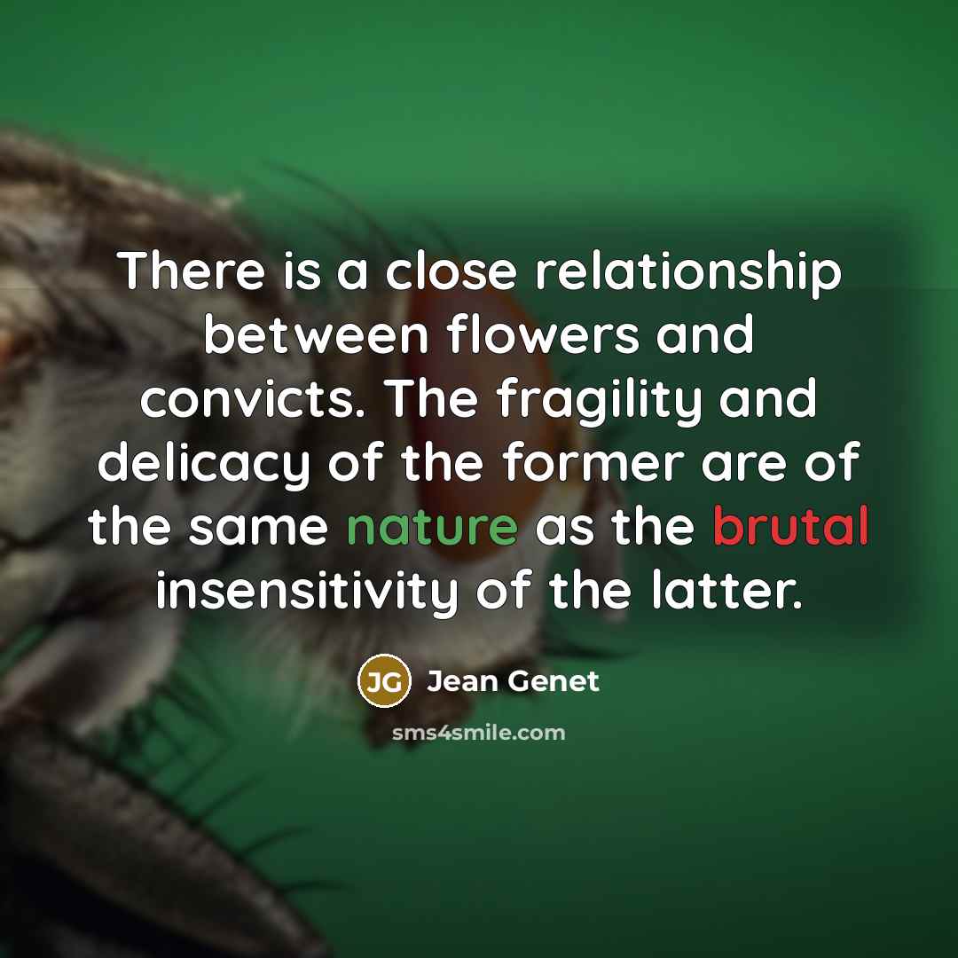 “There is a close relationship between flowers and convicts. The fragility and delicacy of the former are of the same nature as the brutal insensitivity of the latter.” quote by Jean Genet