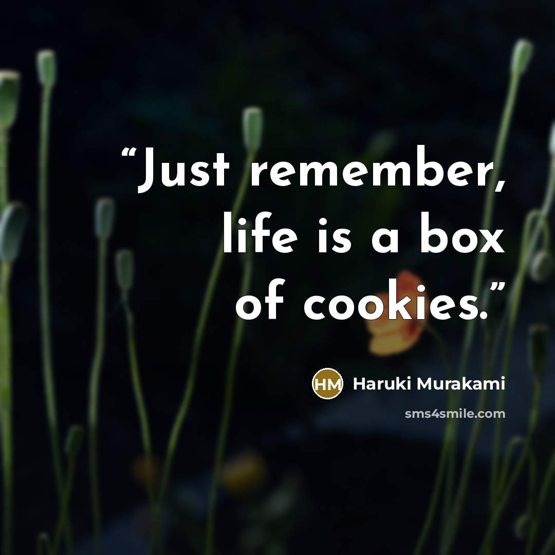 “Just remember, life is a box of cookies.” quote by Haruki Murakami