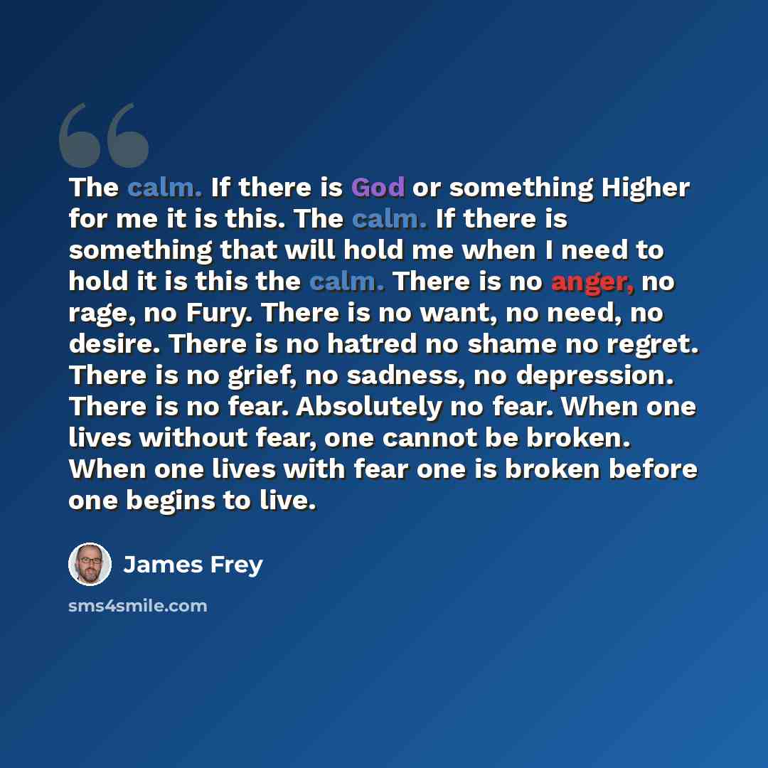 “The calm. If there is God or something Higher for me it is this. The calm. If there is something that will hold me when I need to hold it is this the calm. There is no anger, no rage, no Fury. There is no want, no need, no desire. There is no hatred no shame no regret. There is no grief, no…” quote by James Frey