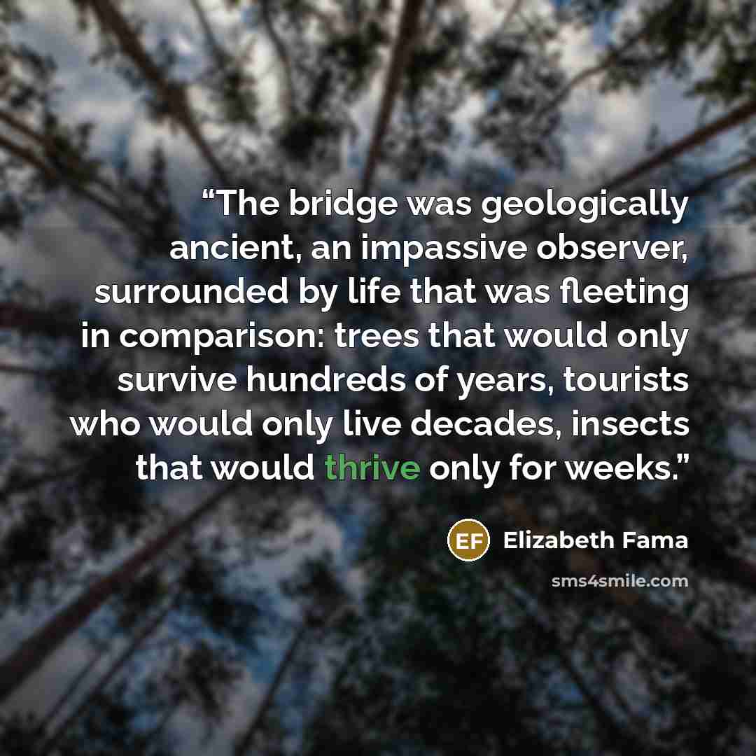 “The bridge was geologically ancient, an impassive observer, surrounded by life that was fleeting in comparison: trees that would only survive hundreds of years, tourists who would only live decades, insects that would thrive only for weeks.” quote by Elizabeth Fama