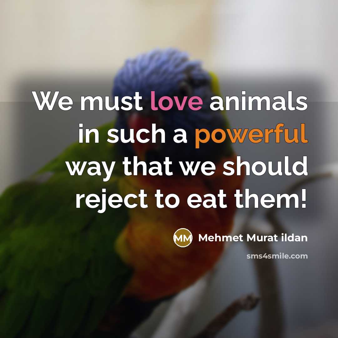 “We must love animals in such a powerful way that we should reject to eat them!” quote by Mehmet Murat Ildan