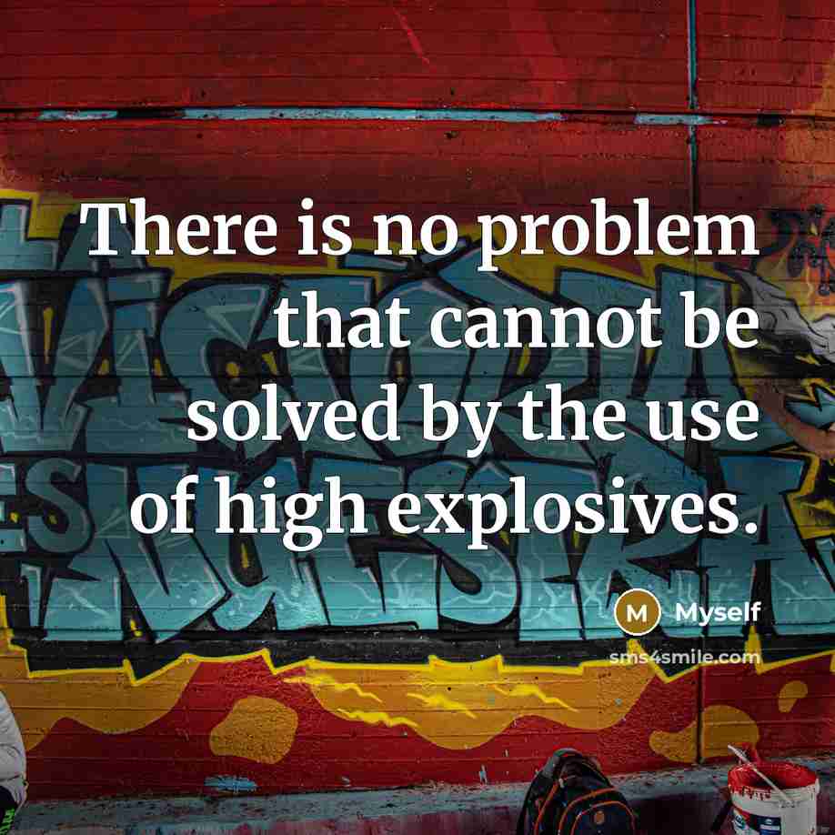 “There is no problem that cannot be solved by the use of high explosives.” quote by Myself