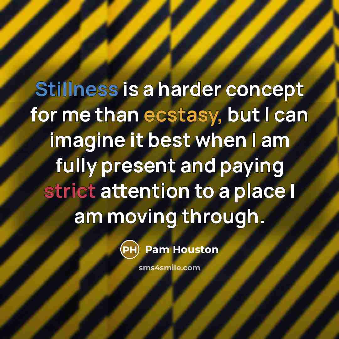 “Stillness is a harder concept for me than ecstasy, but I can imagine it best when I am fully present and paying strict attention to a place I am moving through.” quote by Pam Houston