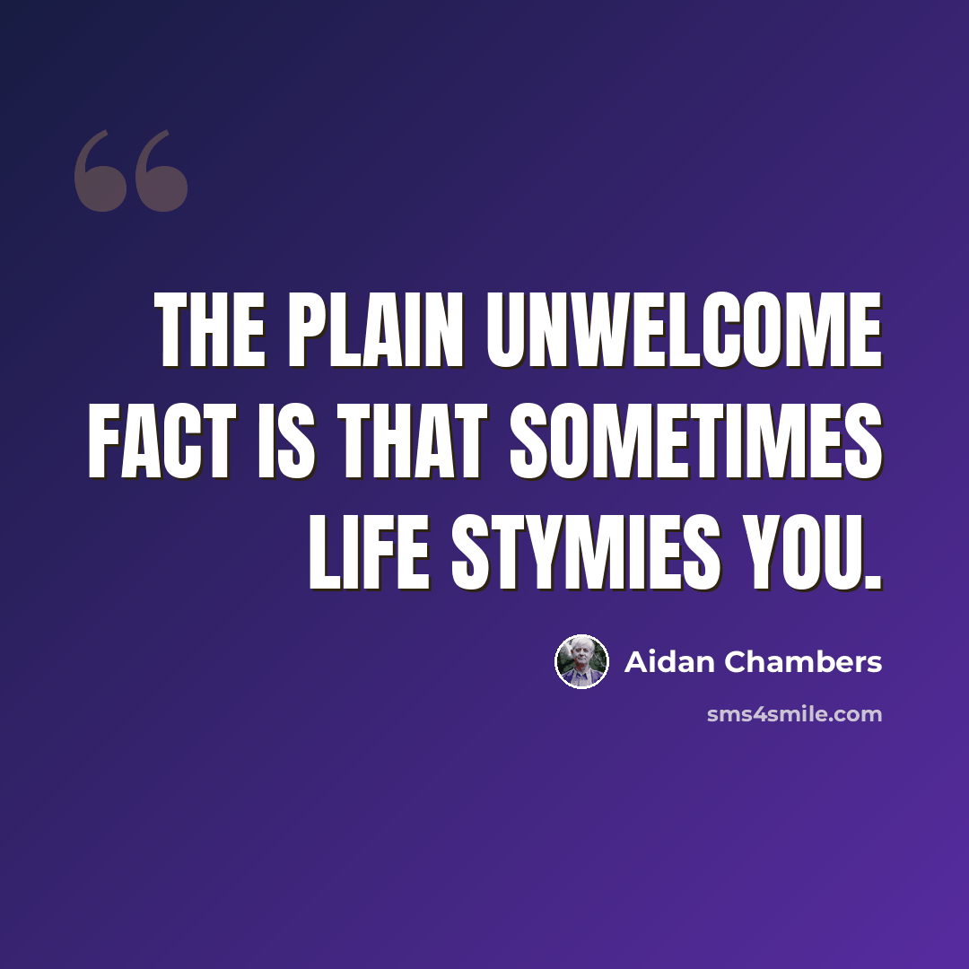 “The plain unwelcome fact is that sometimes life stymies you.” quote by Aidan Chambers