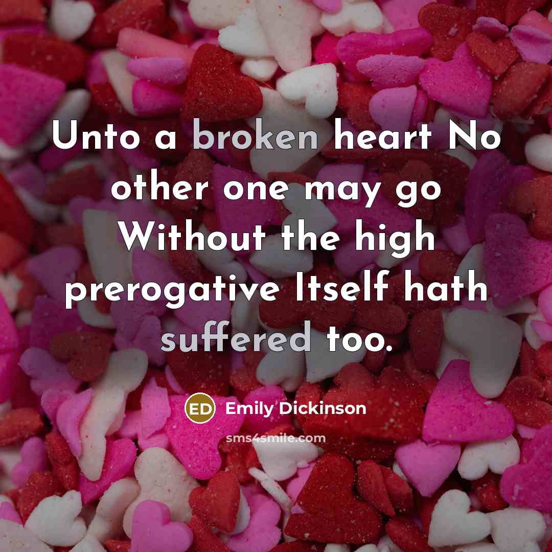 “Unto a broken heart No other one may go Without the high prerogative Itself hath suffered too.” quote by Emily Dickinson