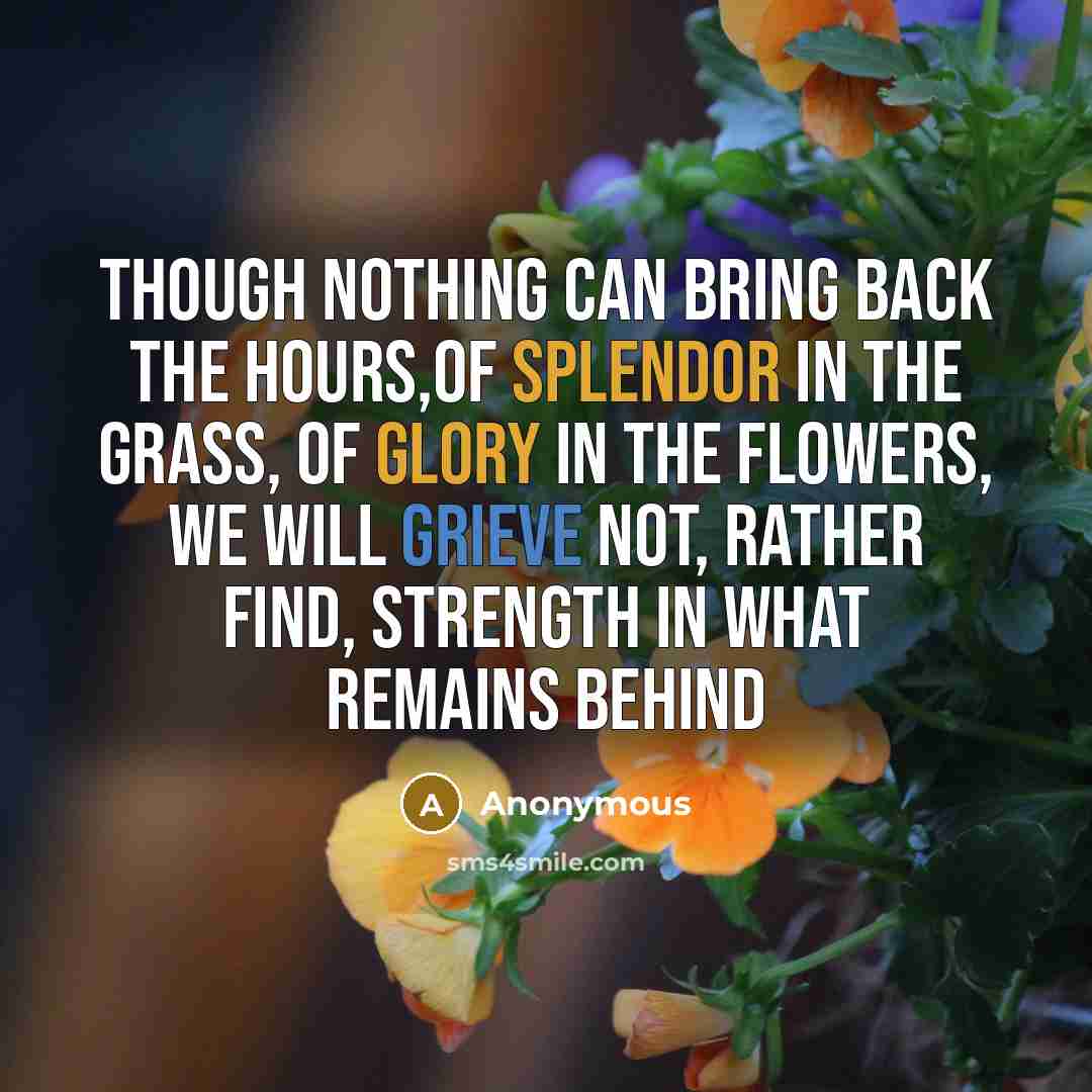 “Though nothing can bring back the hours,Of splendor in the grass, of glory in the flowers, we will grieve not, rather find, strength in what remains behind” quote by Anonymous