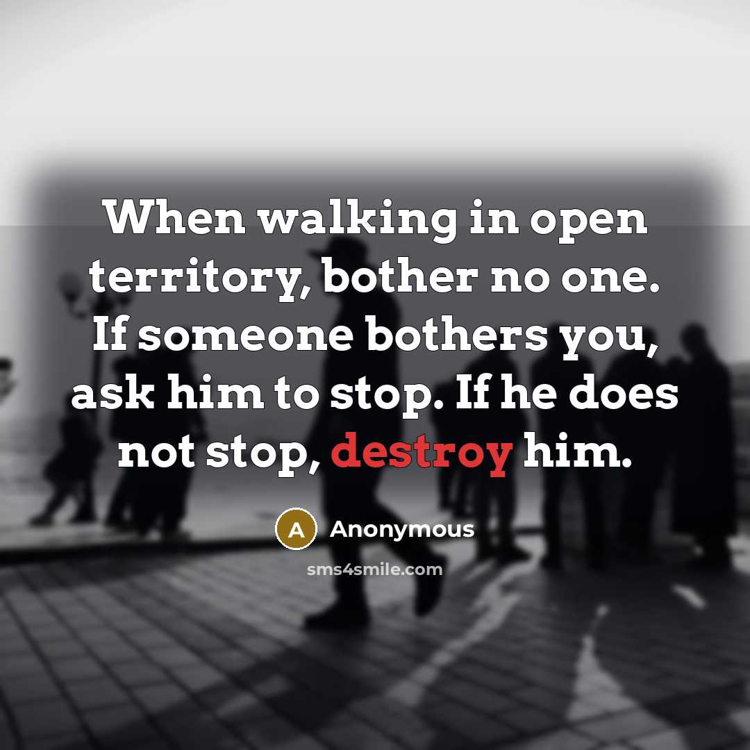 “When walking in open territory, bother no one. If someone bothers you, ask him to stop. If he does not stop, destroy him.” quote by Anonymous