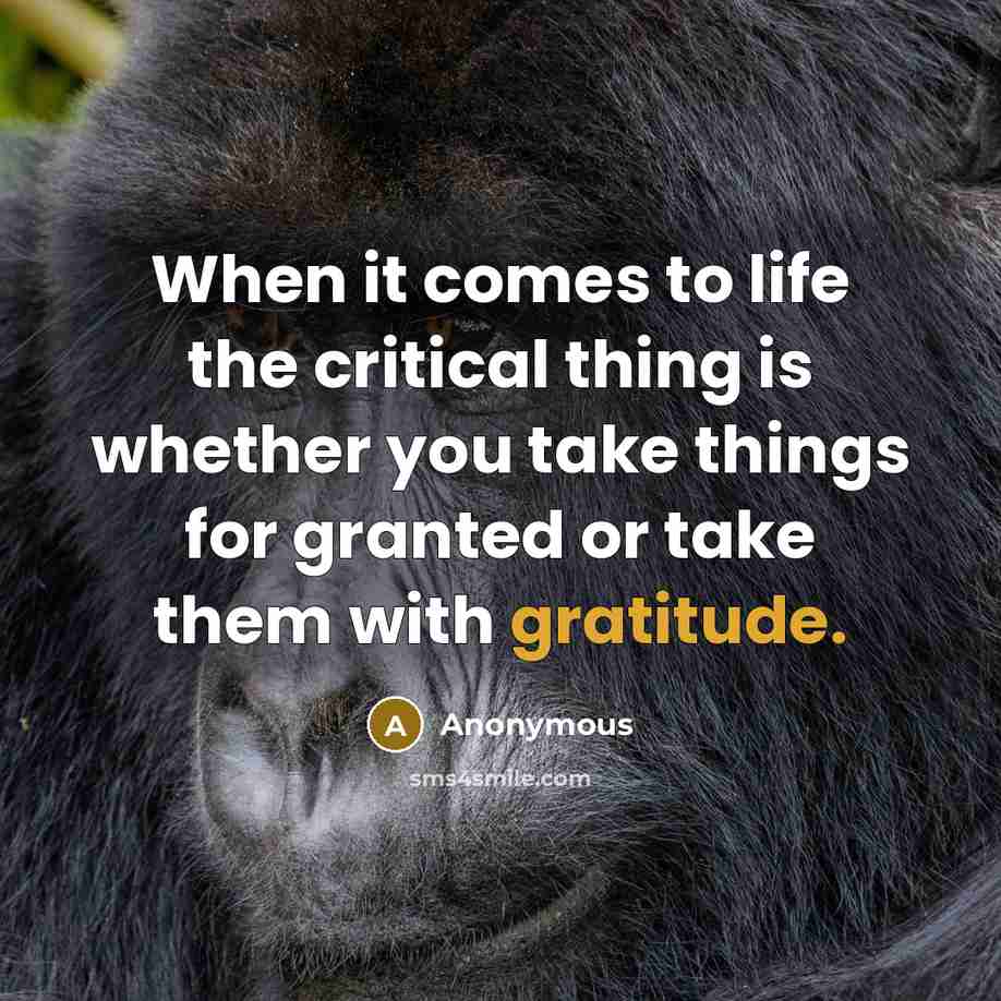 “When it comes to life the critical thing is whether you take things for granted or take them with gratitude.” quote by Anonymous
