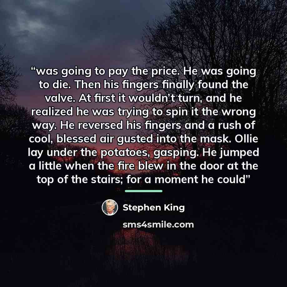 “was going to pay the price. He was going to die. Then his fingers finally found the valve. At first it wouldn’t turn, and he realized he was trying to spin it the wrong way. He reversed his fingers and a rush of cool, blessed air gusted into the mask. Ollie lay under the potatoes, gasping. He…” quote by Stephen King