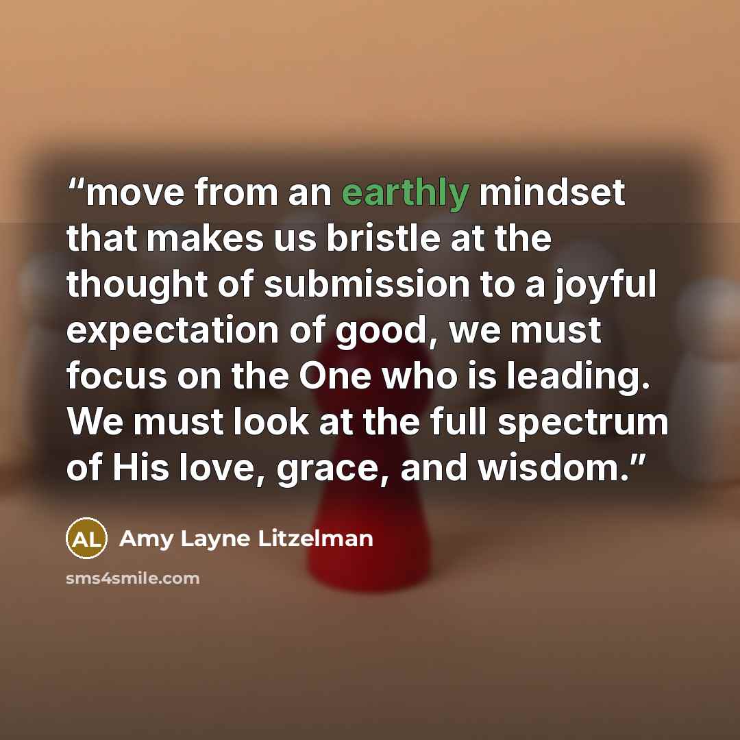 “move from an earthly mindset that makes us bristle at the thought of submission to a joyful expectation of good, we must focus on the One who is leading. We must look at the full spectrum of His love, grace, and wisdom.” quote by Amy Layne Litzelman