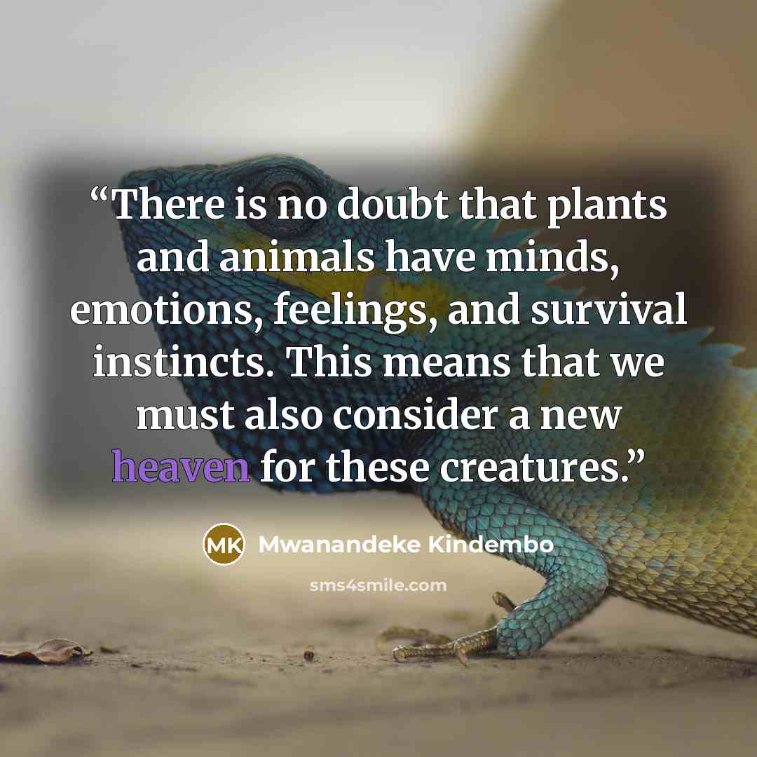 “There is no doubt that plants and animals have minds, emotions, feelings, and survival instincts. This means that we must also consider a new heaven for these creatures.” quote by Mwanandeke Kindembo