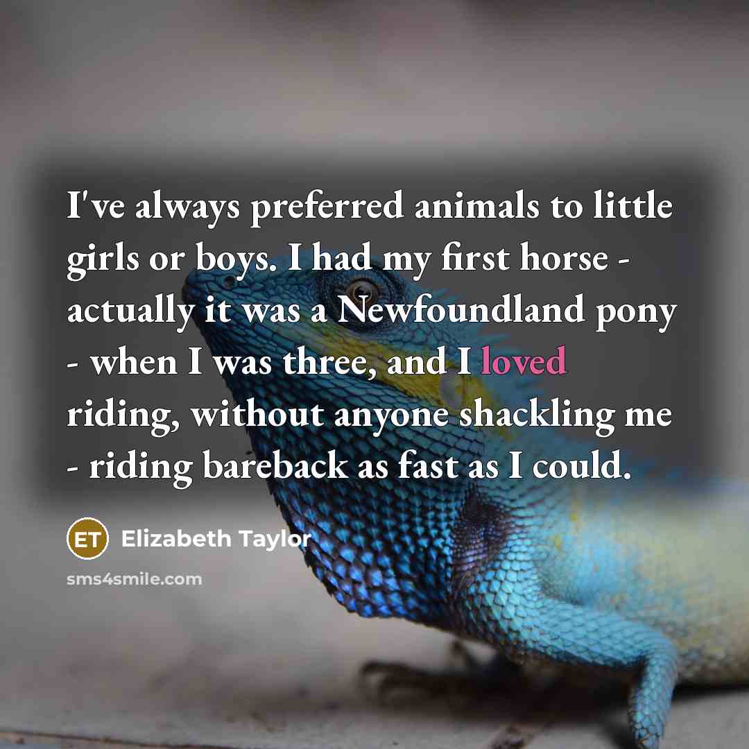 “I've always preferred animals to little girls or boys. I had my first horse - actually it was a Newfoundland pony - when I was three, and I loved riding, without anyone shackling me - riding bareback as fast as I could.” quote by Elizabeth Taylor