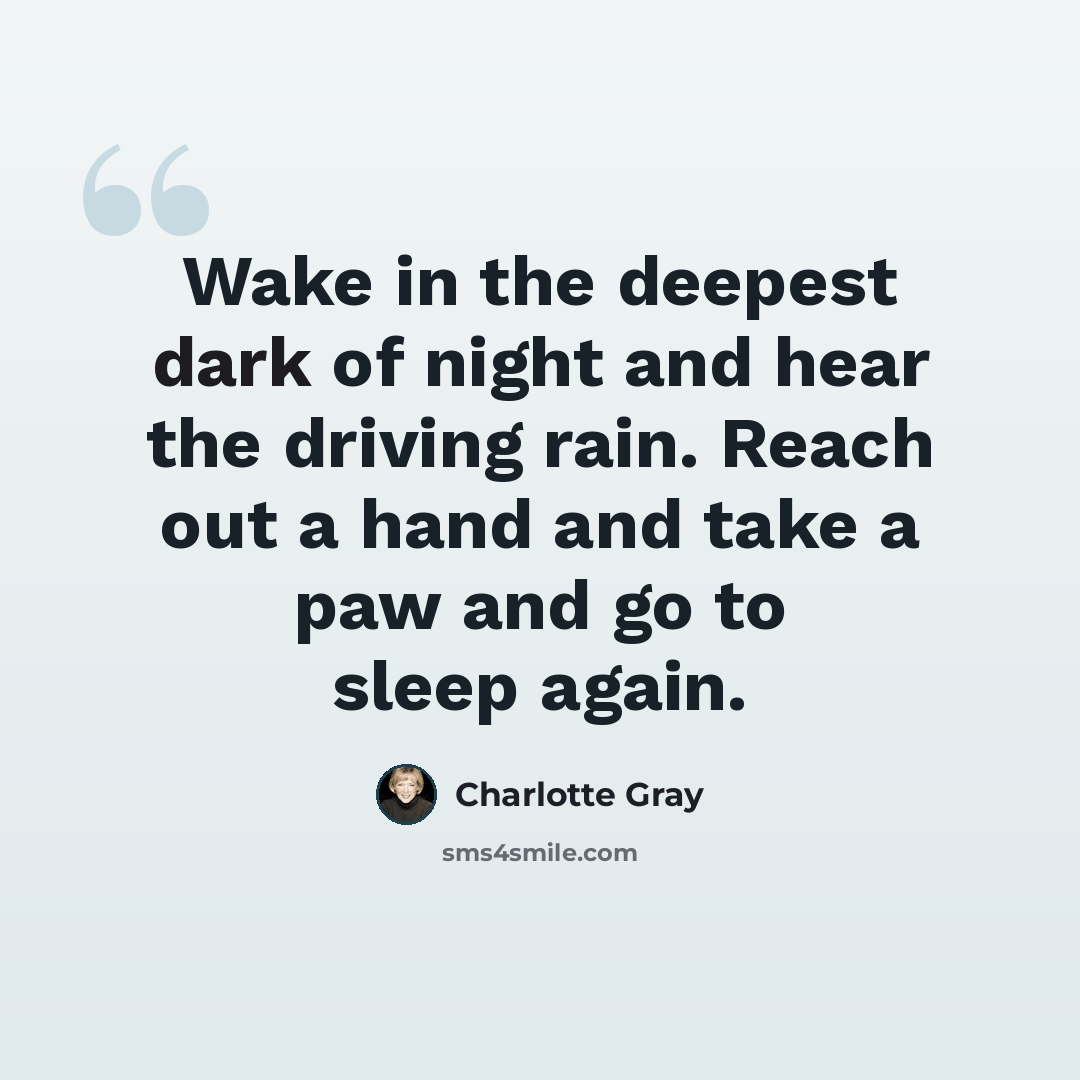 “Wake in the deepest dark of night and hear the driving rain. Reach out a hand and take a paw and go to sleep again.” quote by Charlotte Gray