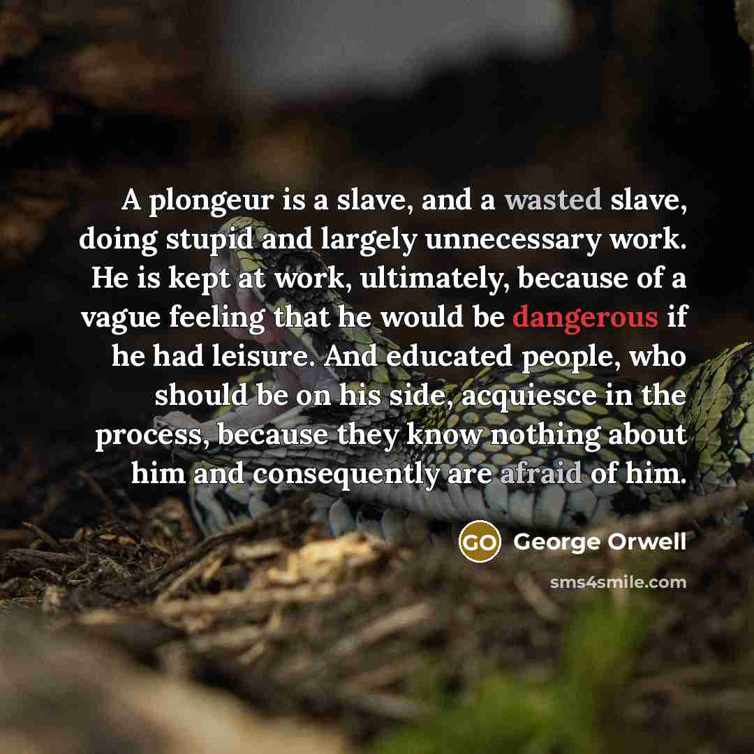 “A plongeur is a slave, and a wasted slave, doing stupid and largely unnecessary work. He is kept at work, ultimately, because of a vague feeling that he would be dangerous if he had leisure. And educated people, who should be on his side, acquiesce in the process, because they know nothing about…” quote by George Orwell