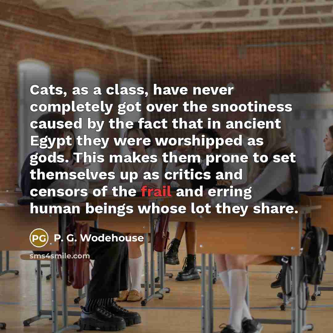 “Cats, as a class, have never completely got over the snootiness caused by the fact that in ancient Egypt they were worshipped as gods. This makes them prone to set themselves up as critics and censors of the frail and erring human beings whose lot they share.” quote by P. G. Wodehouse
