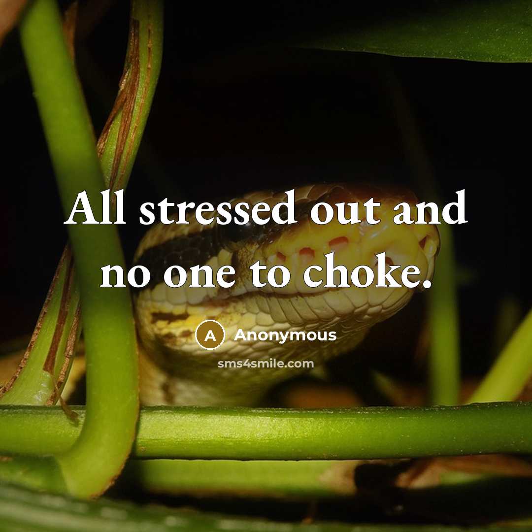 “All stressed out and no one to choke.” quote by Anonymous