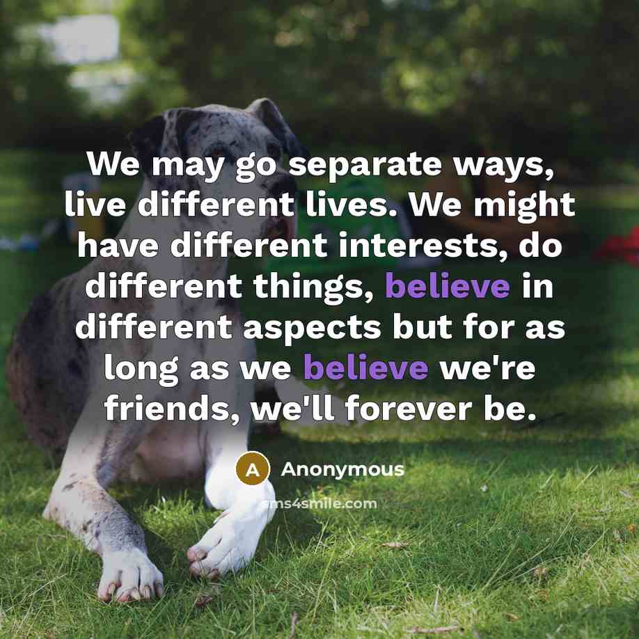 “We may go separate ways, live different lives. We might have different interests, do different things, believe in different aspects but for as long as we believe we're friends, we'll forever be.” quote by Anonymous