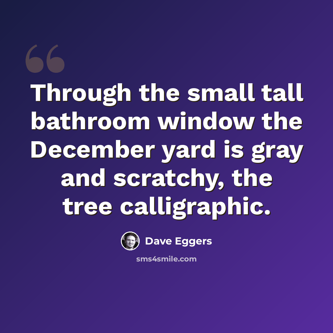 “Through the small tall bathroom window the December yard is gray and scratchy, the tree calligraphic.” quote by Dave Eggers