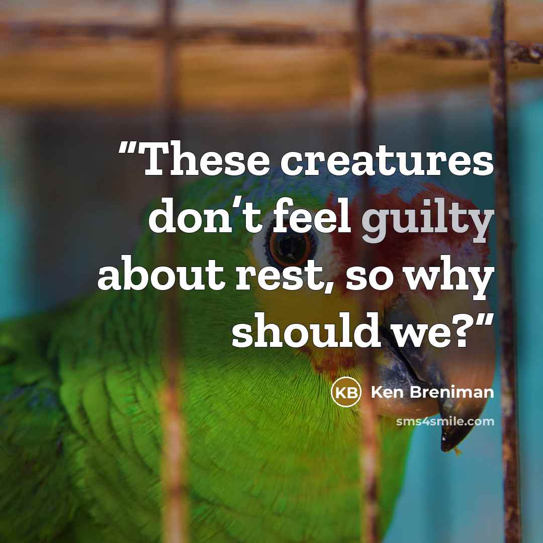 “These creatures don’t feel guilty about rest, so why should we?” quote by Ken Breniman