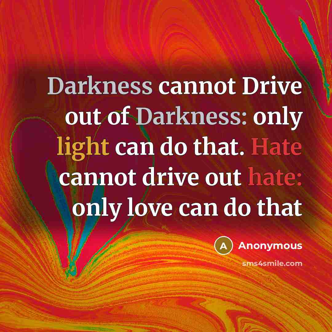 “Darkness cannot Drive out of Darkness: only light can do that. Hate cannot drive out hate: only love can do that” quote by Anonymous