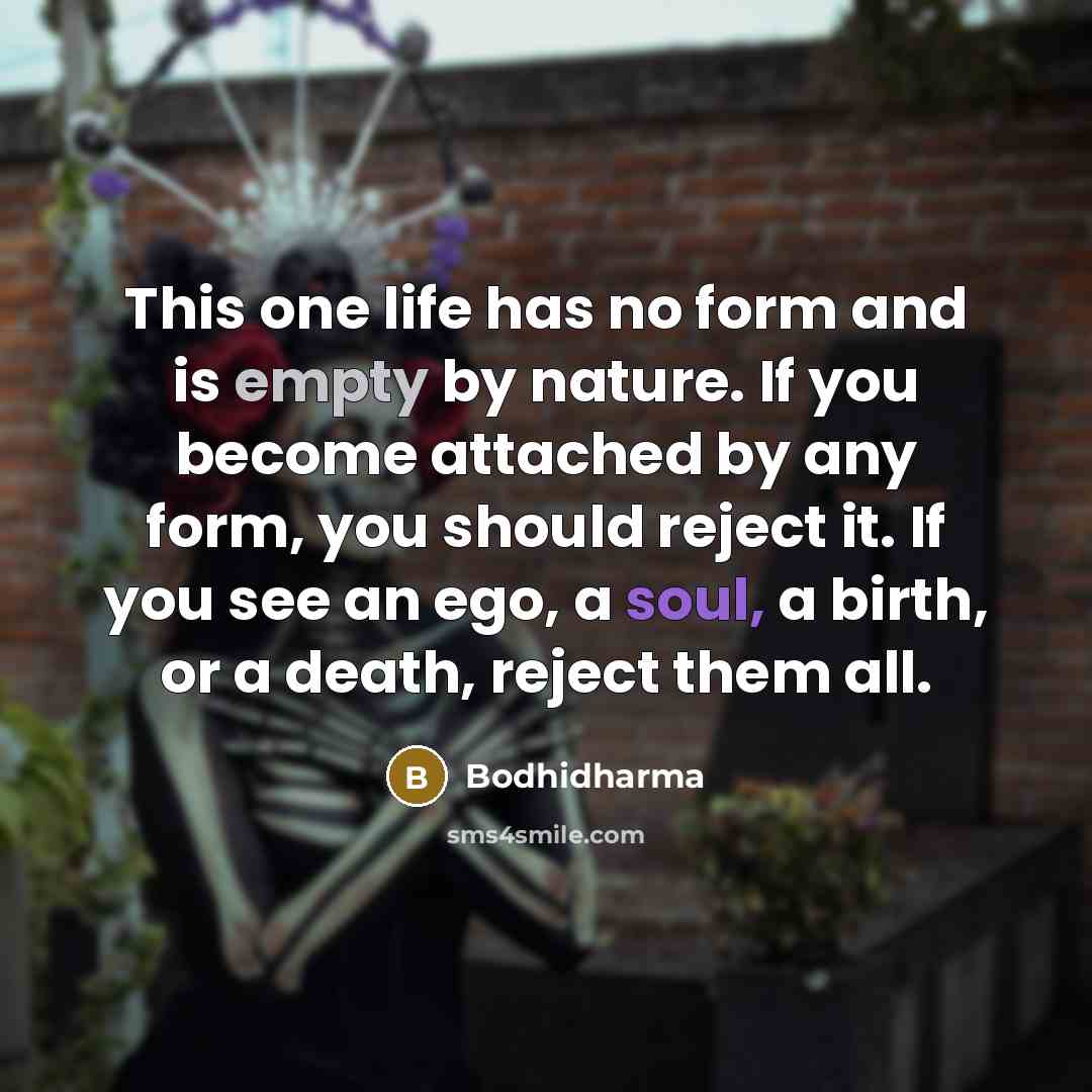 “This one life has no form and is empty by nature. If you become attached by any form, you should reject it. If you see an ego, a soul, a birth, or a death, reject them all.” quote by Bodhidharma