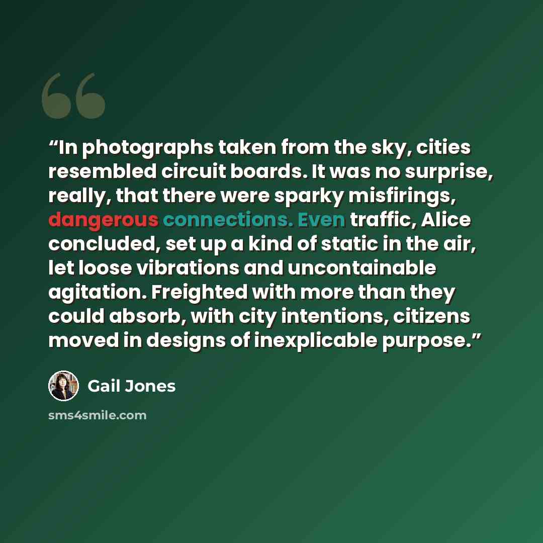 “In photographs taken from the sky, cities resembled circuit boards. It was no surprise, really, that there were sparky misfirings, dangerous connections. Even traffic, Alice concluded, set up a kind of static in the air, let loose vibrations and uncontainable agitation. Freighted with more than…” quote by Gail Jones