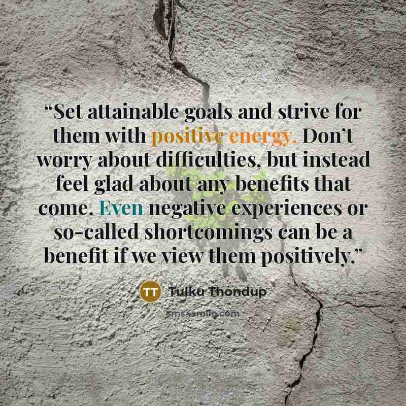 “Set attainable goals and strive for them with positive energy. Don’t worry about difficulties, but instead feel glad about any benefits that come. Even negative experiences or so-called shortcomings can be a benefit if we view them positively.” quote by Tulku Thondup