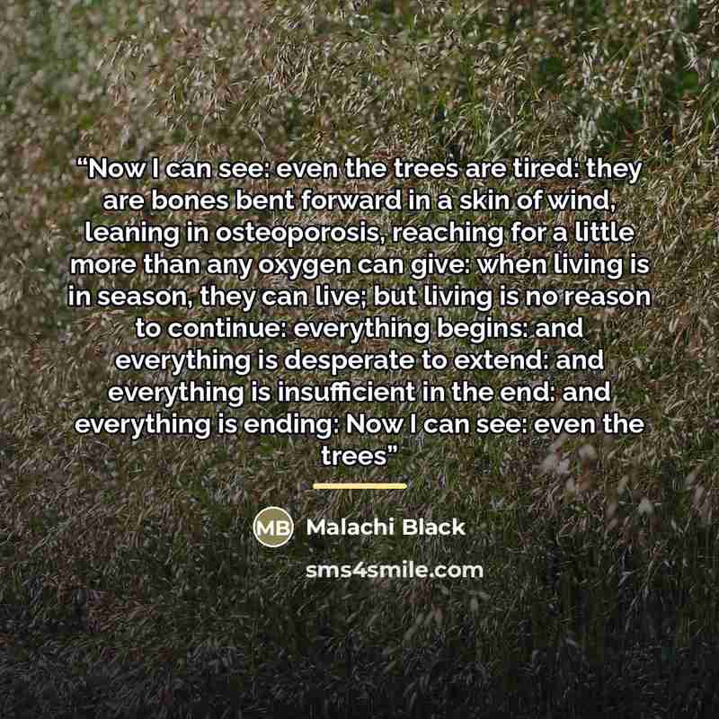 “Now I can see: even the trees are tired: they are bones bent forward in a skin of wind, leaning in osteoporosis, reaching for a little more than any oxygen can give: when living is in season, they can live; but living is no reason to continue: everything begins: and everything is desperate to…” quote by Malachi Black