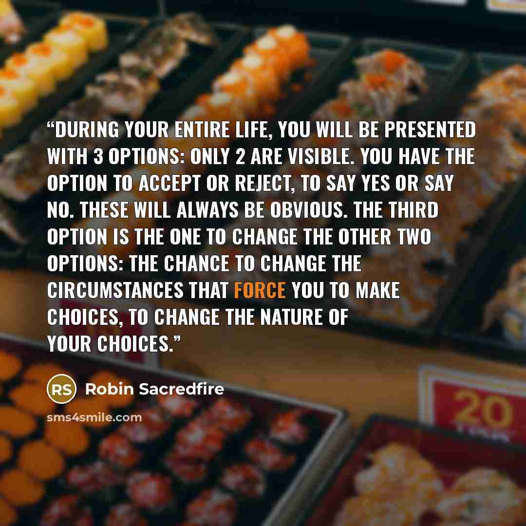 “During your entire life, you will be presented with 3 options: Only 2 are visible. You have the option to accept or reject, to say yes or say no. These will always be obvious. The third option is the one to change the other two options: The chance to change the circumstances that force you to make…” quote by Robin Sacredfire