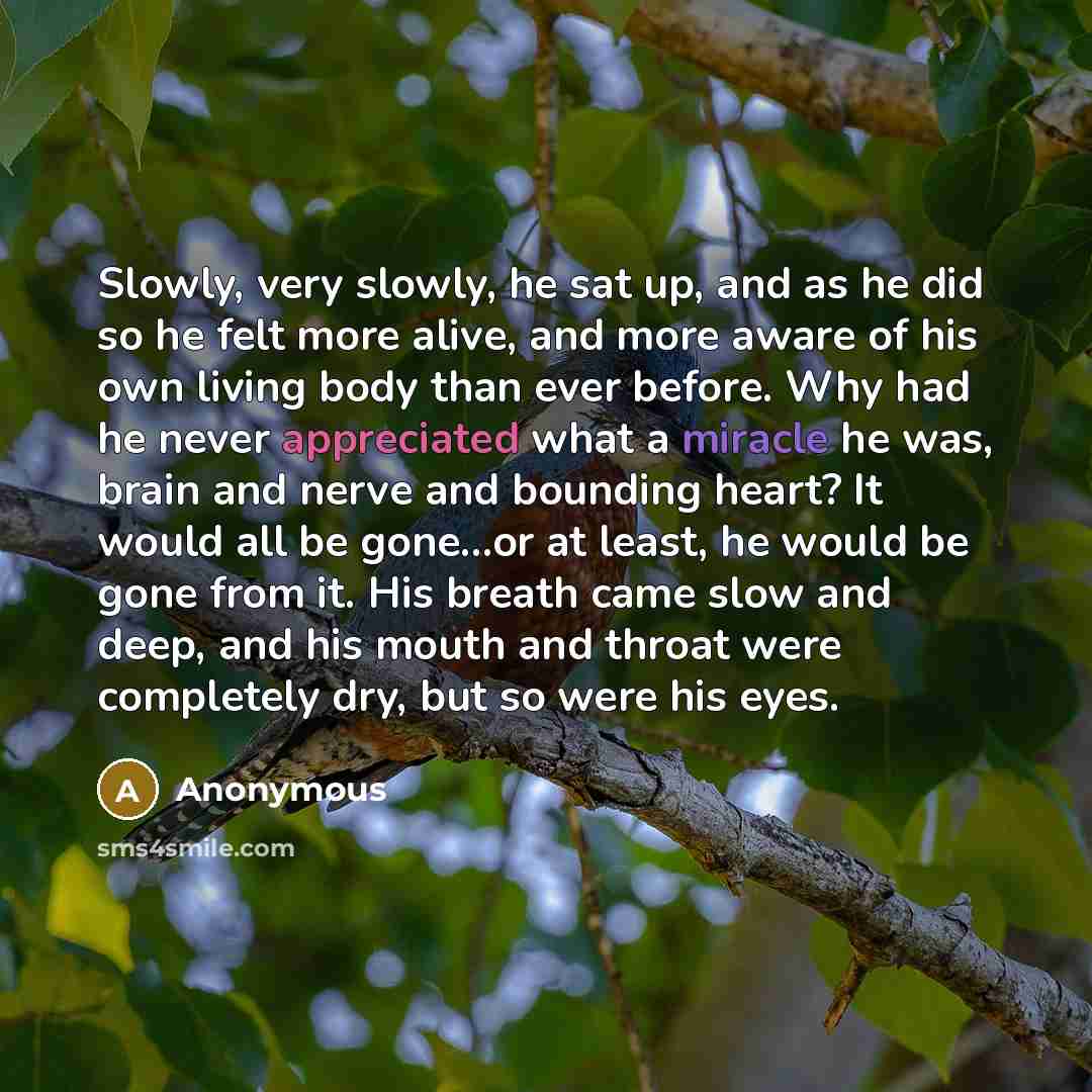 “Slowly, very slowly, he sat up, and as he did so he felt more alive, and more aware of his own living body than ever before. Why had he never appreciated what a miracle he was, brain and nerve and bounding heart? It would all be gone...or at least, he would be gone from it. His breath came slow…” quote by Anonymous