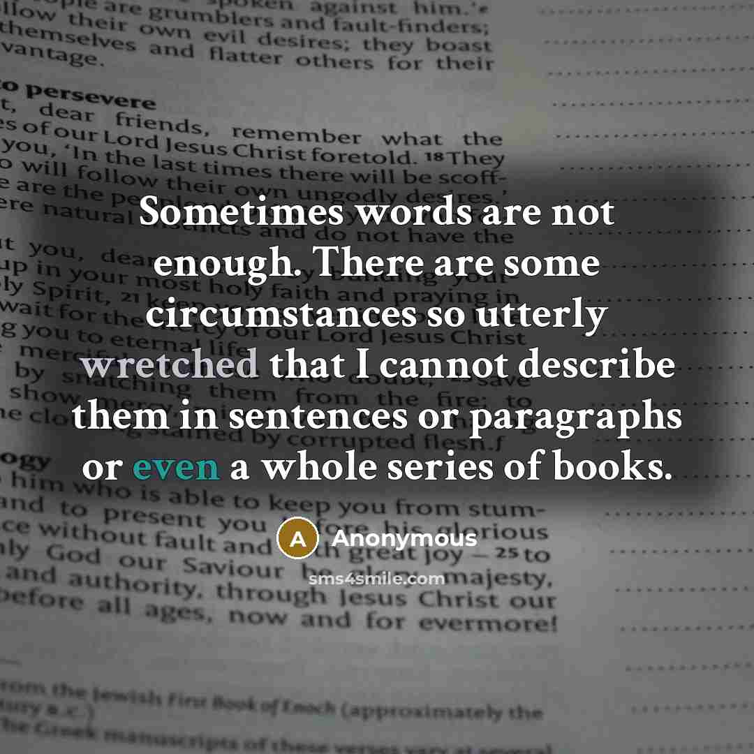 “Sometimes words are not enough. There are some circumstances so utterly wretched that I cannot describe them in sentences or paragraphs or even a whole series of books.” quote by Anonymous
