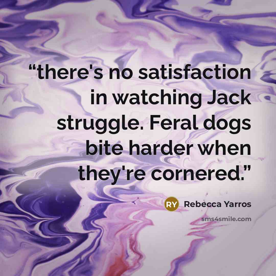 “there's no satisfaction in watching Jack struggle. Feral dogs bite harder when they're cornered.” quote by Rebecca Yarros