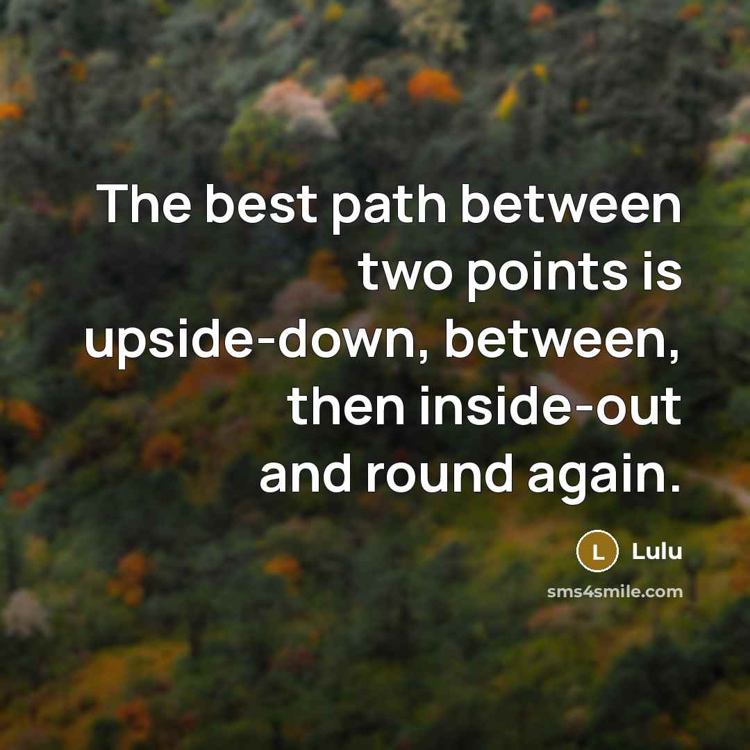 “The best path between two points is upside-down, between, then inside-out and round again.” quote by Lulu