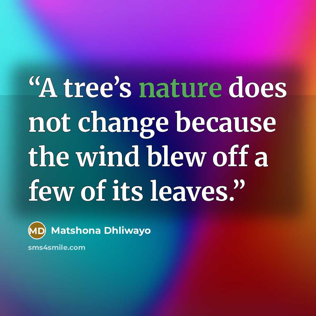 “A tree’s nature does not change because the wind blew off a few of its leaves.” quote by Matshona Dhliwayo