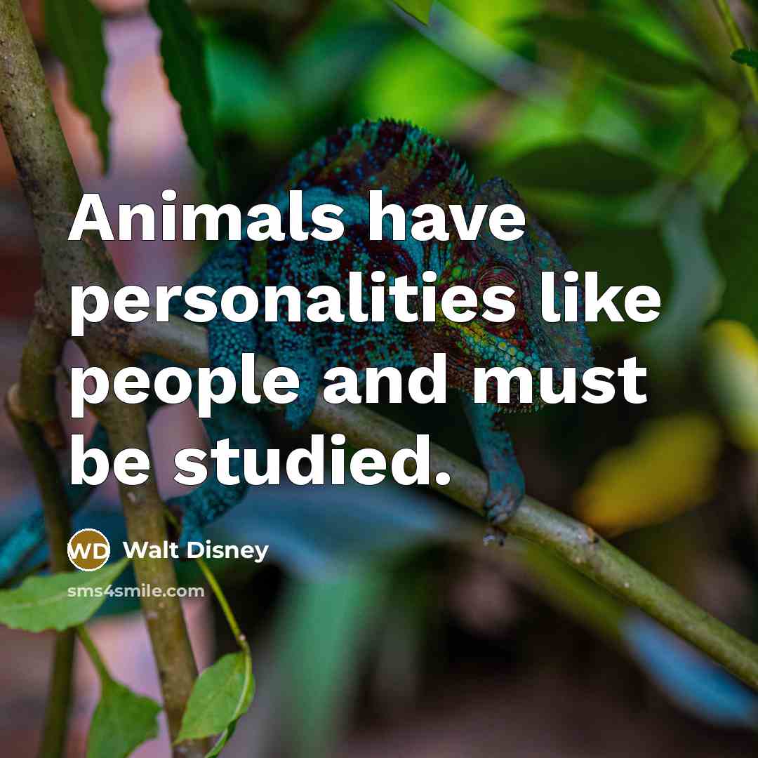 “Animals have personalities like people and must be studied.” quote by Walt Disney