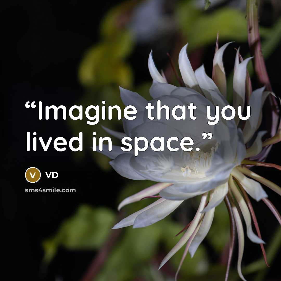 “Imagine that you lived in space.” quote by VD