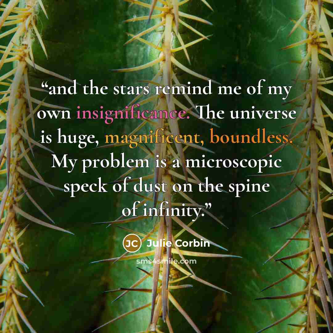 “and the stars remind me of my own insignificance. The universe is huge, magnificent, boundless. My problem is a microscopic speck of dust on the spine of infinity.” quote by Julie Corbin