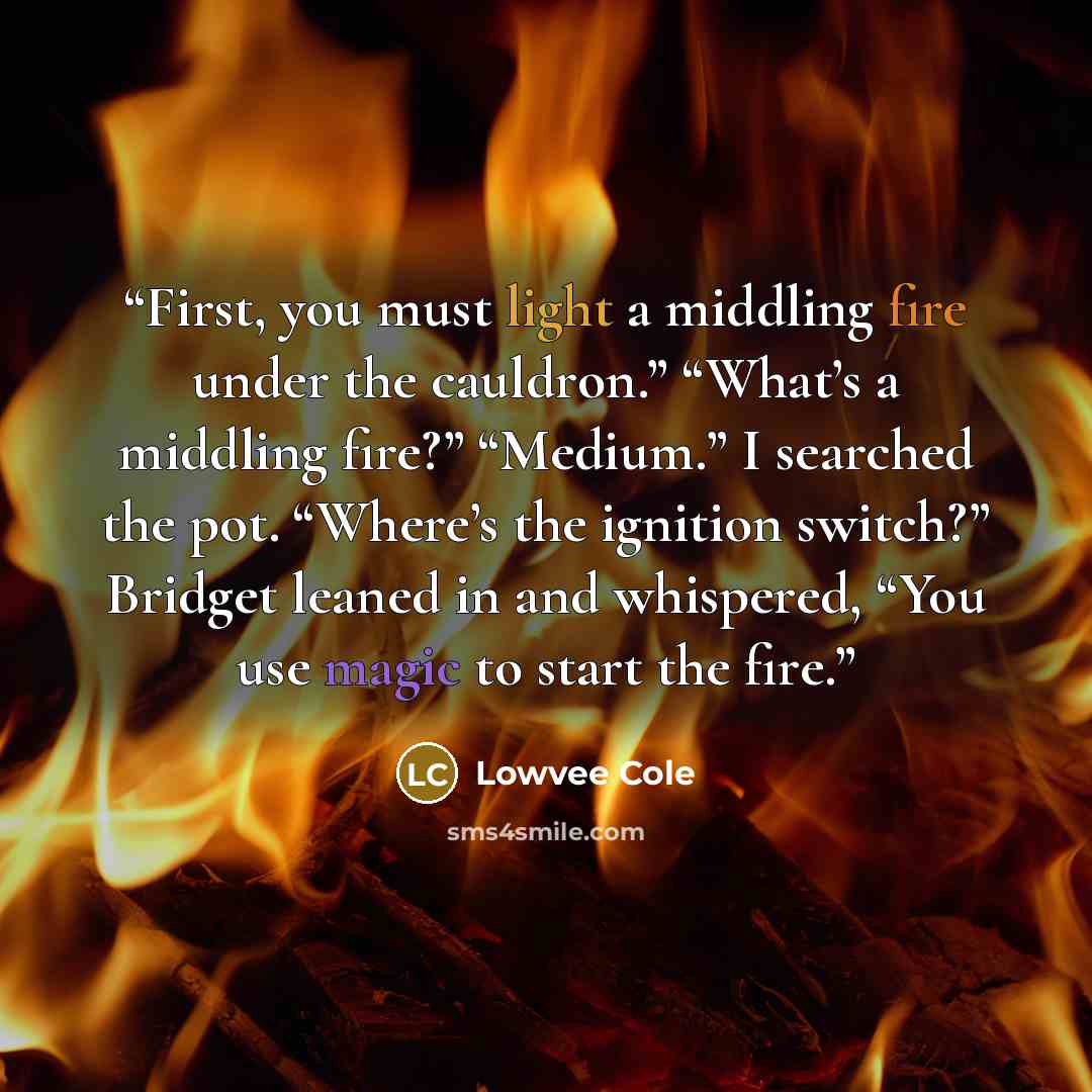 “First, you must light a middling fire under the cauldron.” “What’s a middling fire?” “Medium.” I searched the pot. “Where’s the ignition switch?” Bridget leaned in and whispered, “You use magic to start the fire.” quote by Lowvee Cole