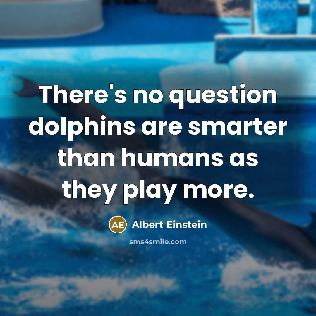 “There's no question dolphins are smarter than humans as they play more.” quote by Albert Einstein