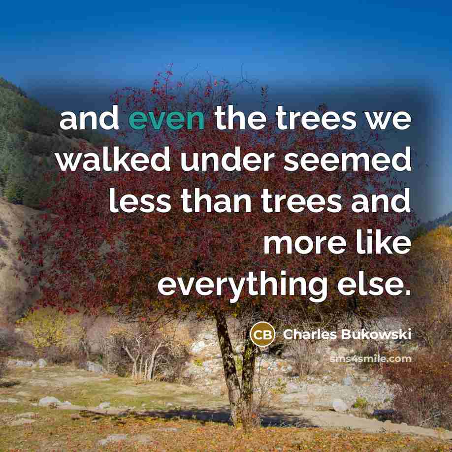 “and even the trees we walked under seemed less than trees and more like everything else.” quote by Charles Bukowski