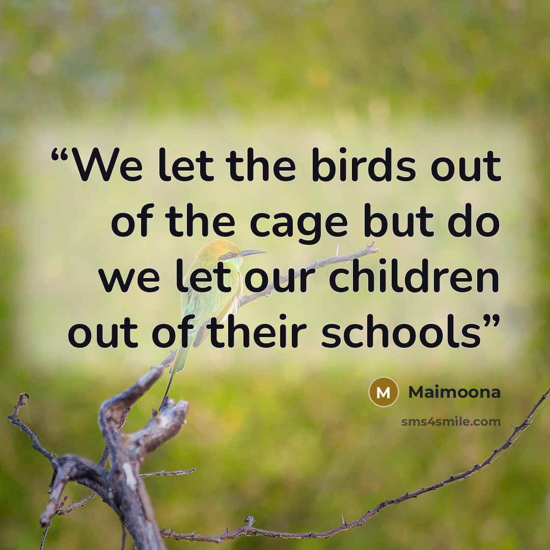 “We let the birds out of the cage but do we let our children out of their schools” quote by Maimoona