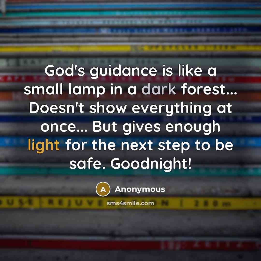 “God's guidance is like a small lamp in a dark forest... Doesn't show everything at once... But gives enough light for the next step to be safe. Goodnight!” quote by Anonymous