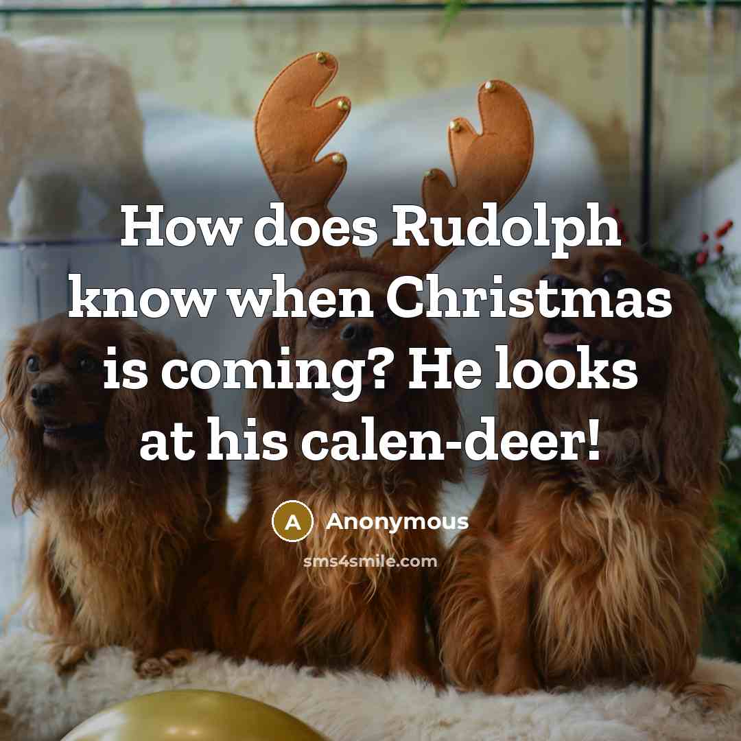 “How does Rudolph know when Christmas is coming? He looks at his calen-deer!” quote by Anonymous
